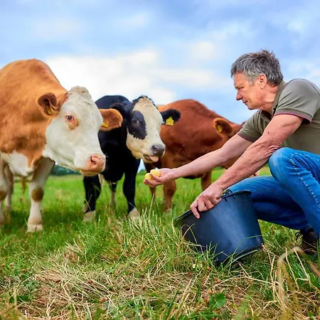 Flair Werbetal Szálloda
