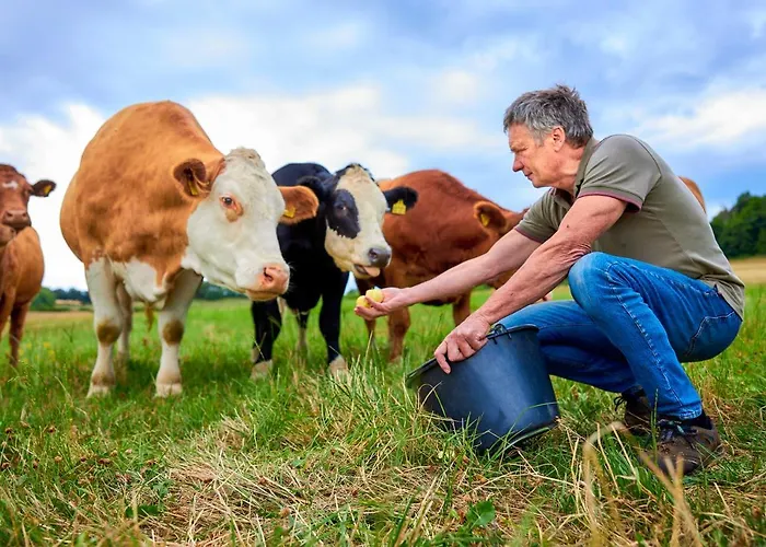 Flair Werbetal Hotell